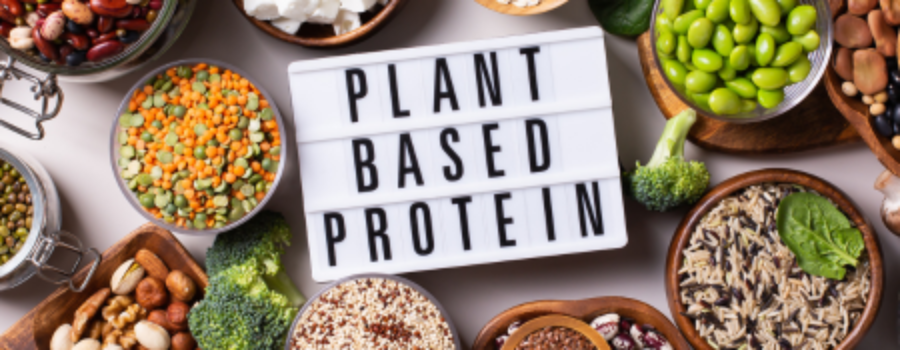 18 Plant-Based Proteins to Include in Your Diet